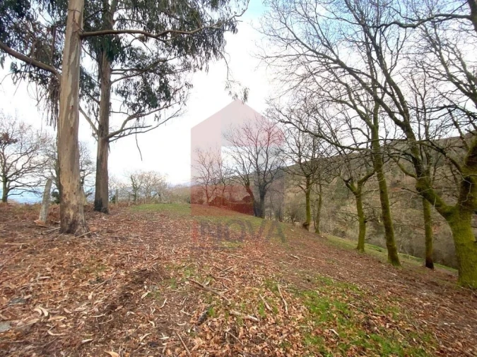 Terreno para Venda em Azias Foto 4