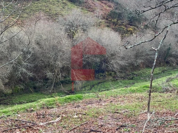 Terreno para Venda em Azias Foto 16