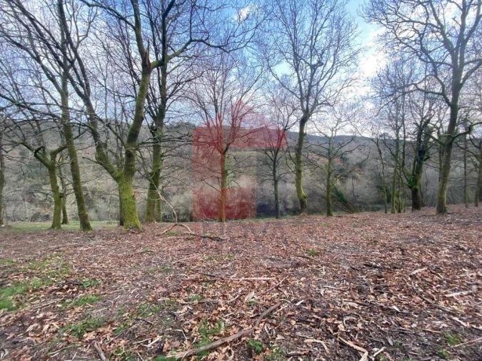 Terreno para Venda em Azias Foto 3