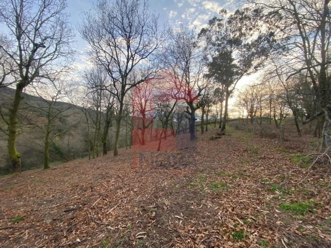 Terreno para Venda em Azias Foto 6