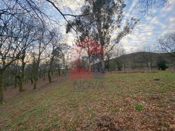 Terreno para Venda em Azias Foto 24