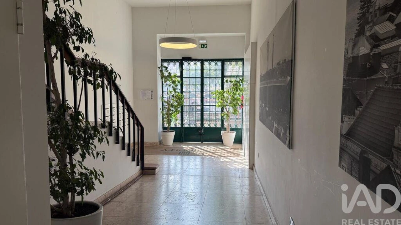 Apartamento T1 para Arrendamento em Estrela Foto 8