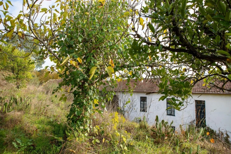 Moradia T3 para Venda em Refojos de Basto, Outeiro e Painzela Foto 17