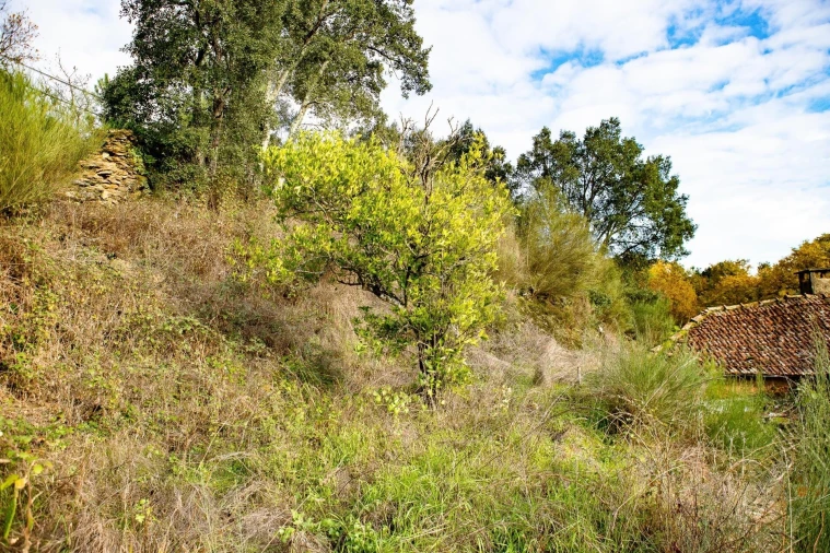Moradia T3 para Venda em Refojos de Basto, Outeiro e Painzela Foto 16