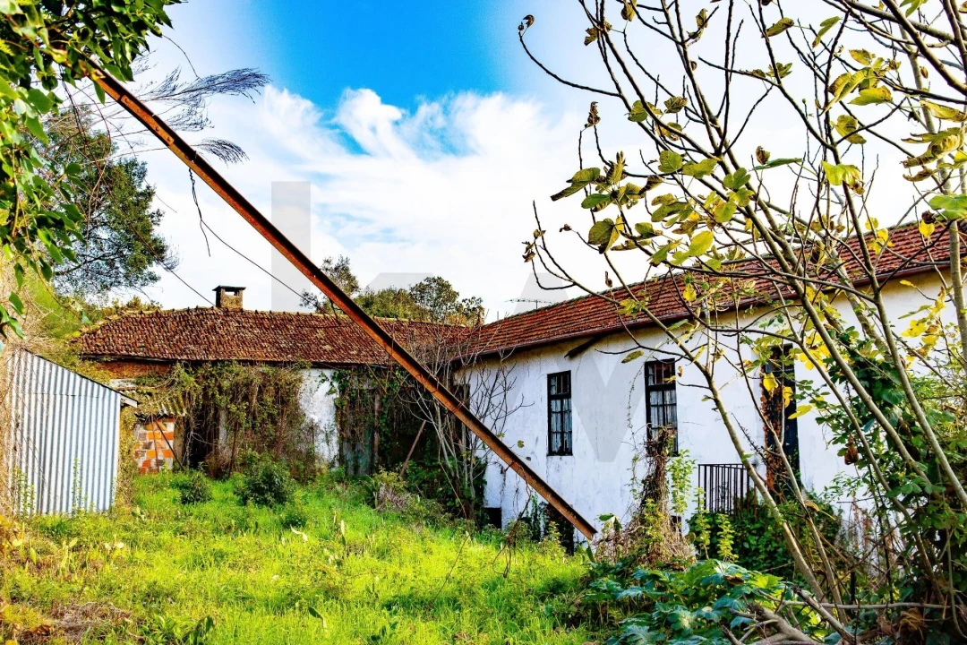 Moradia T3 para Venda em Refojos de Basto, Outeiro e Painzela Foto 13