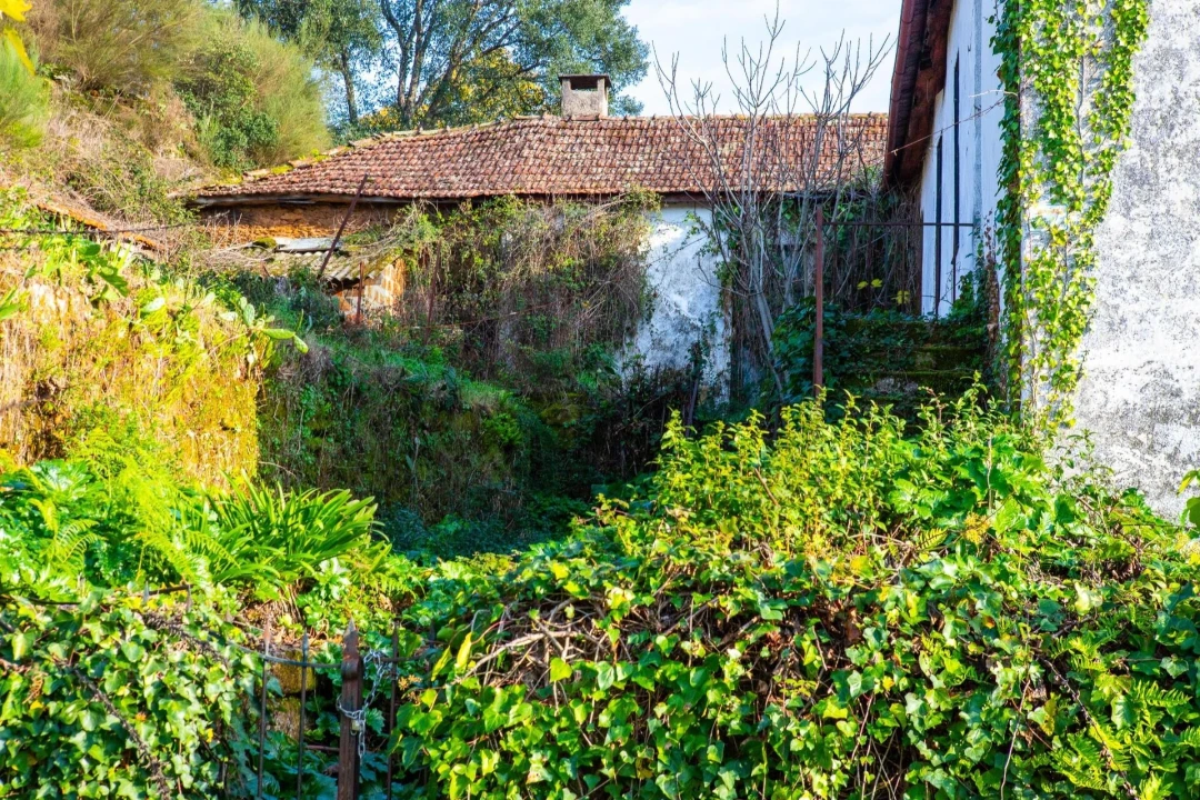 Moradia T3 para Venda em Refojos de Basto, Outeiro e Painzela Foto 12