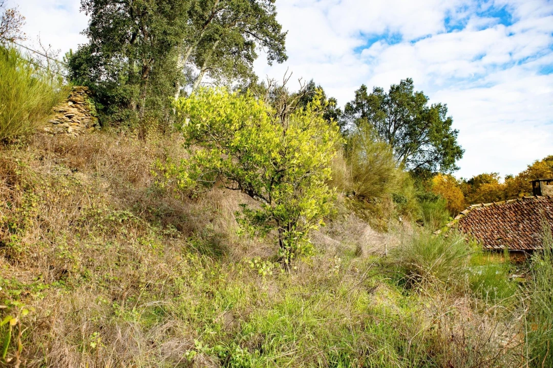 Moradia T3 para Venda em Refojos de Basto, Outeiro e Painzela Foto 16