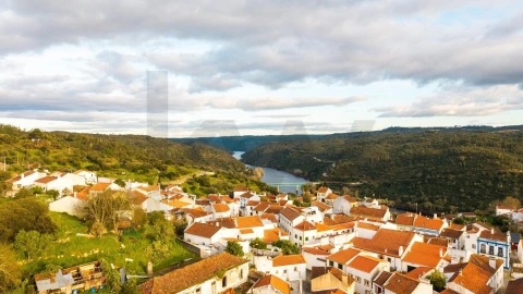Quinta T5 para Venda em Belver