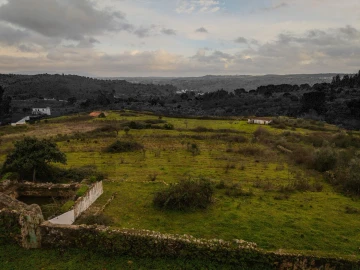 Quinta T5 para Venda em Belver
