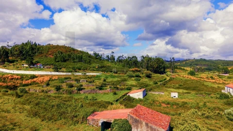 Quinta T5 para Venda em Belver
