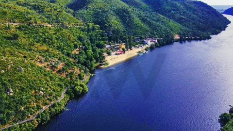 Quinta T5 para Venda em Belver