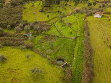 Quinta T5 para Venda em Belver