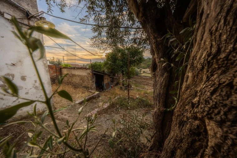 Quinta T5 para Venda em Belver Foto 43