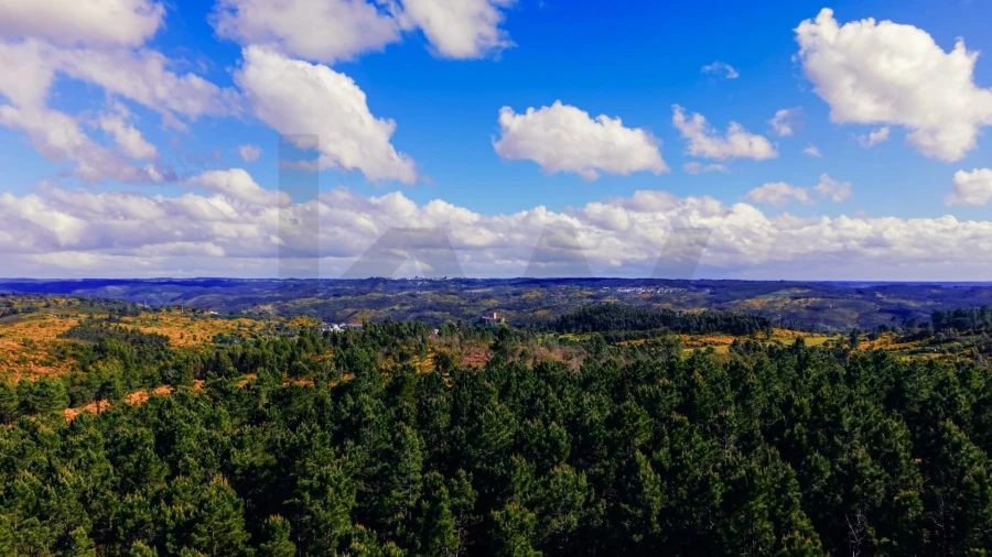 Quinta T5 para Venda em Belver Foto 47