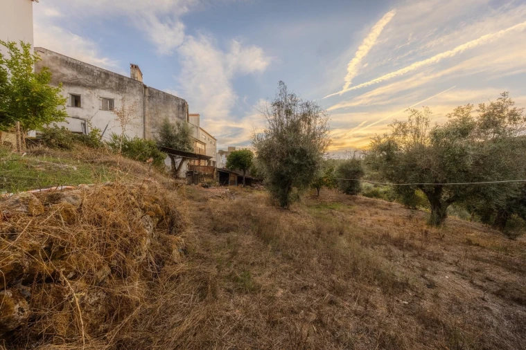 Quinta T5 para Venda em Belver Foto 47