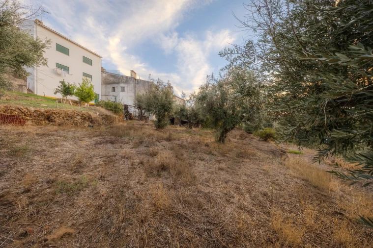 Quinta T5 para Venda em Belver Foto 48