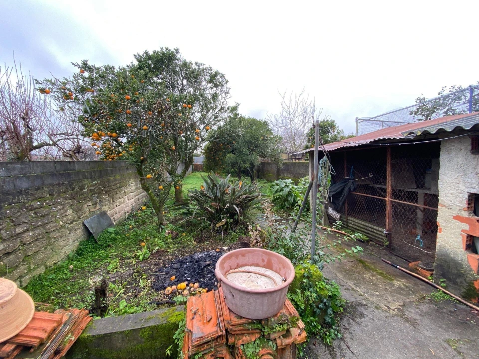 Moradia T4 para Venda em Ílhavo (São Salvador) Foto 19