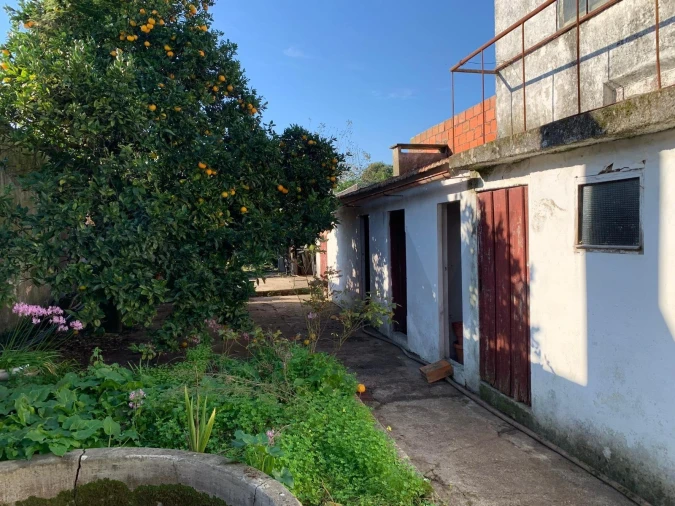 Moradia T4 para Venda em Ílhavo (São Salvador) Foto 4