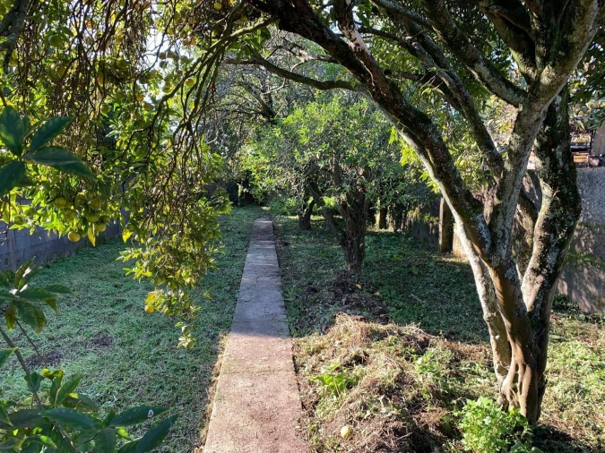 Moradia T4 para Venda em Ílhavo (São Salvador) Foto 2
