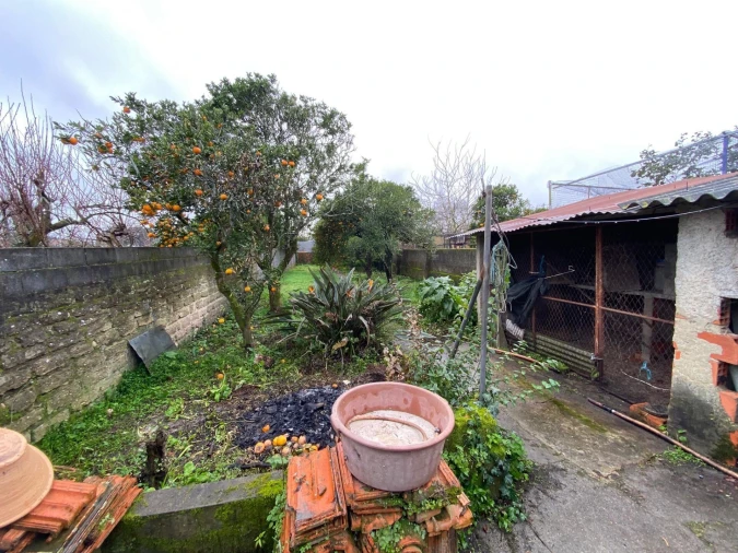 Moradia T4 para Venda em Ílhavo (São Salvador) Foto 19