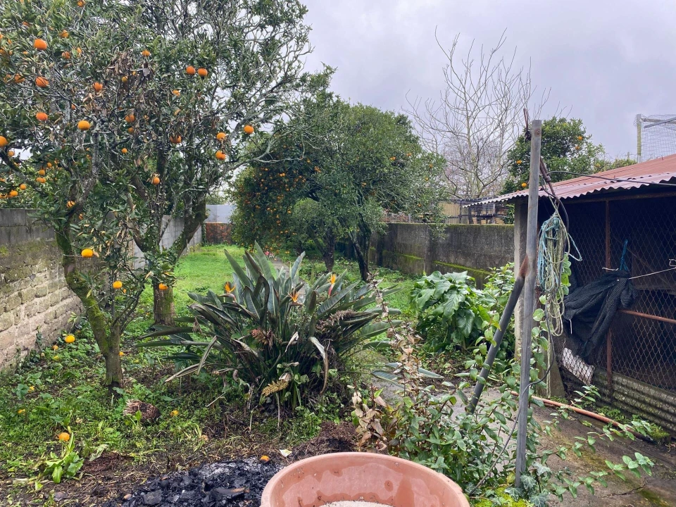 Moradia T4 para Venda em Ílhavo (São Salvador) Foto 17