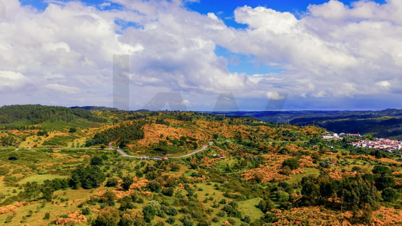 Terreno para Venda em Belver Foto 6