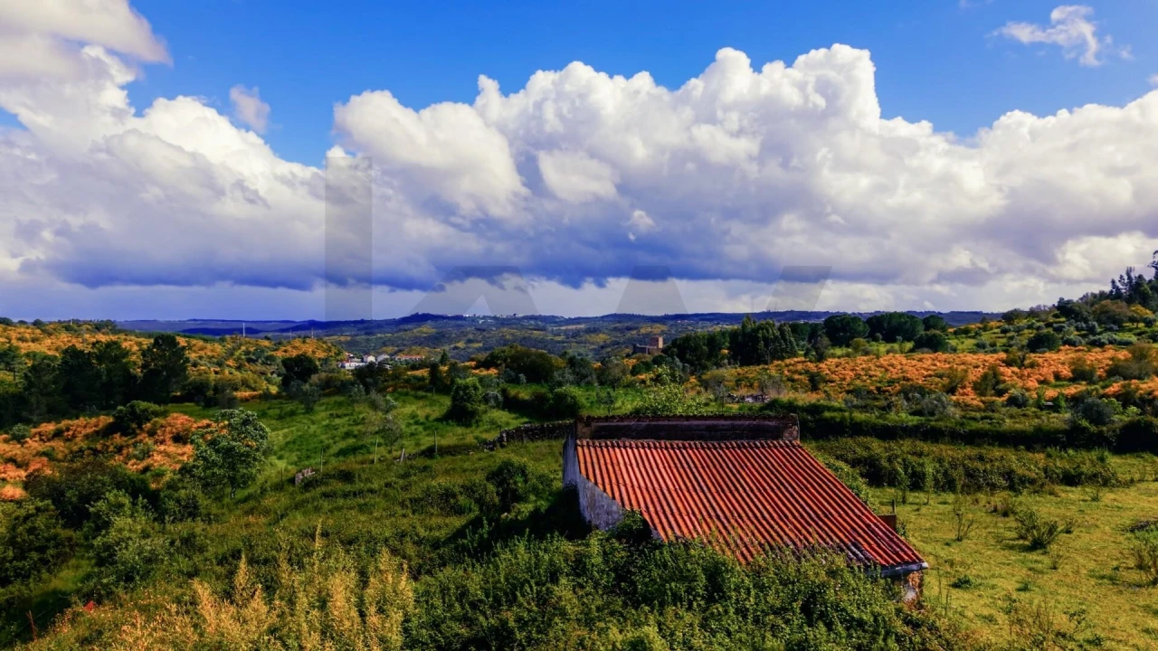 Terreno para Venda em Belver Foto 5