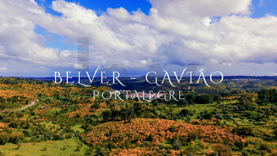 Terreno para Venda em Belver