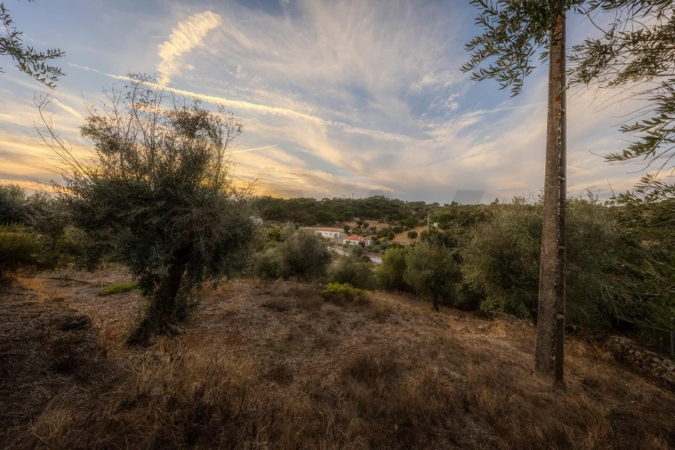 Terreno para Venda em Belver Foto 9