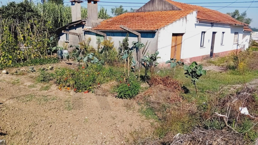 Moradia T2 para Venda em Soure Foto 20