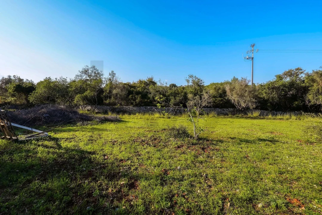 Terreno para Venda em Santa Barbara de Nexe Foto 2