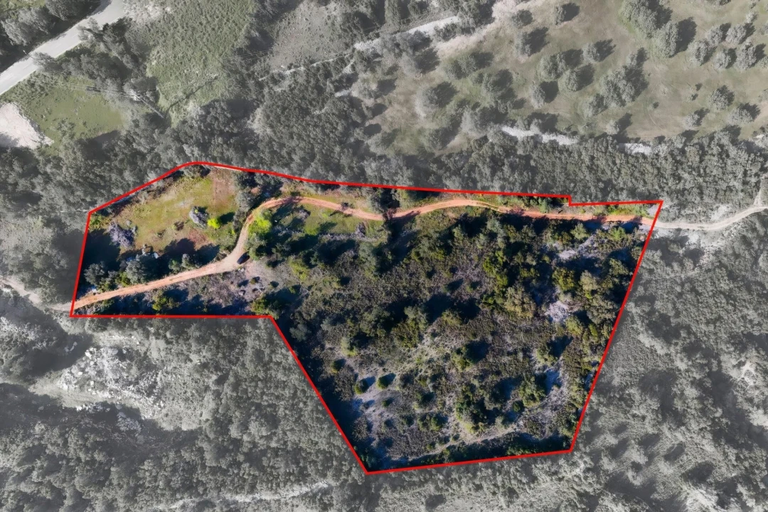 Terreno para Venda em Santa Barbara de Nexe Foto 1
