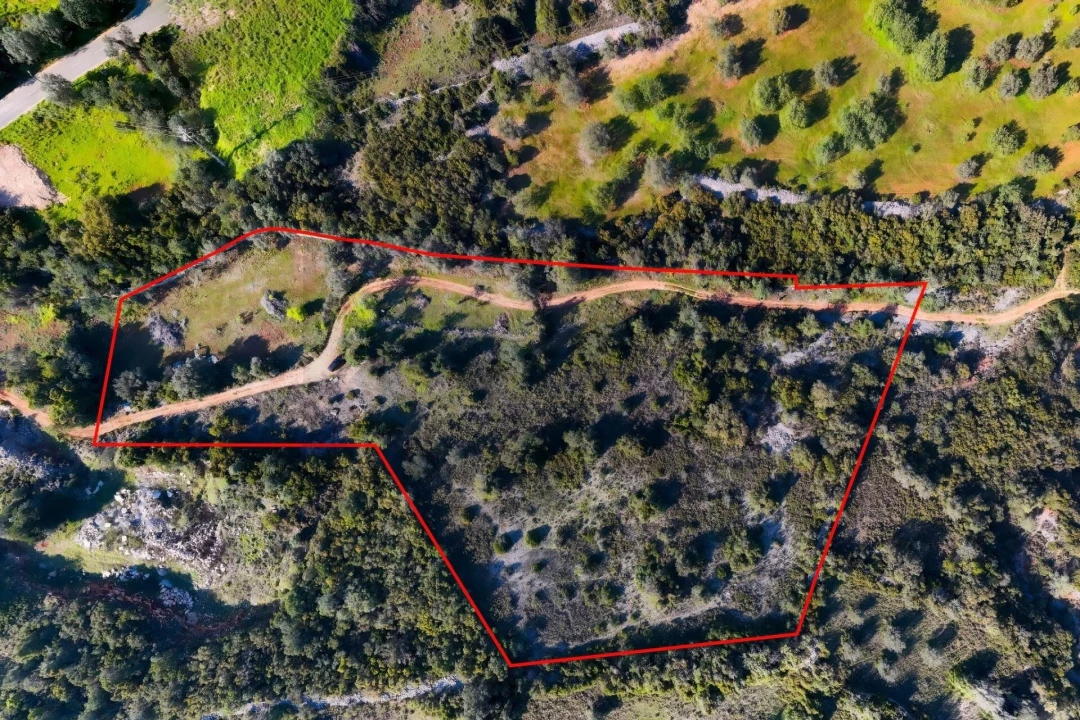 Terreno para Venda em Santa Barbara de Nexe Foto 16