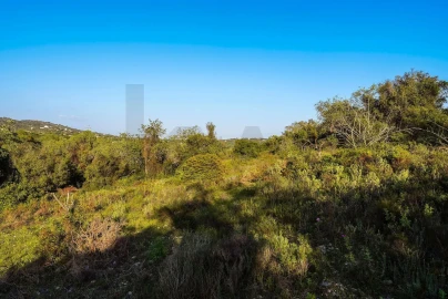 Terreno para Venda em Santa Barbara de Nexe