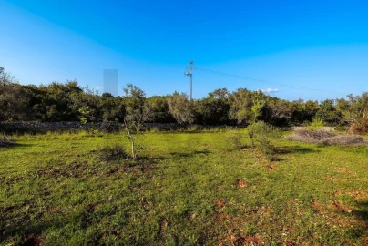Terreno para Venda em Santa Barbara de Nexe