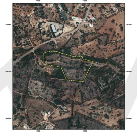 Terreno para Venda em Santa Barbara de Nexe