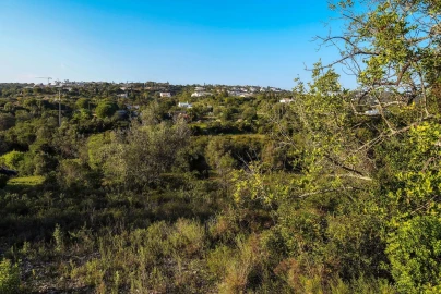 Terreno para Venda em Santa Barbara de Nexe