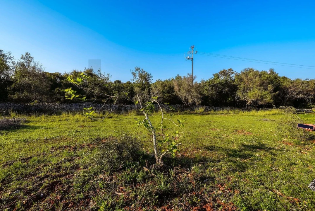 Terreno para Venda em Santa Barbara de Nexe Foto 20
