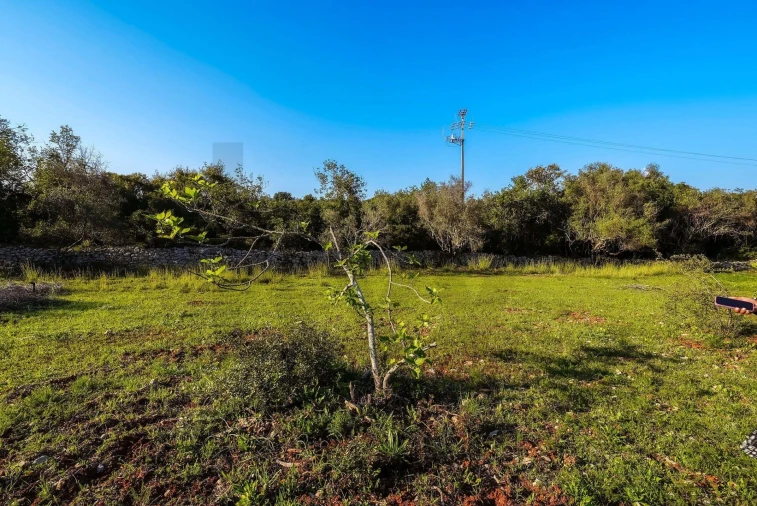 Terreno para Venda em Santa Barbara de Nexe Foto 20