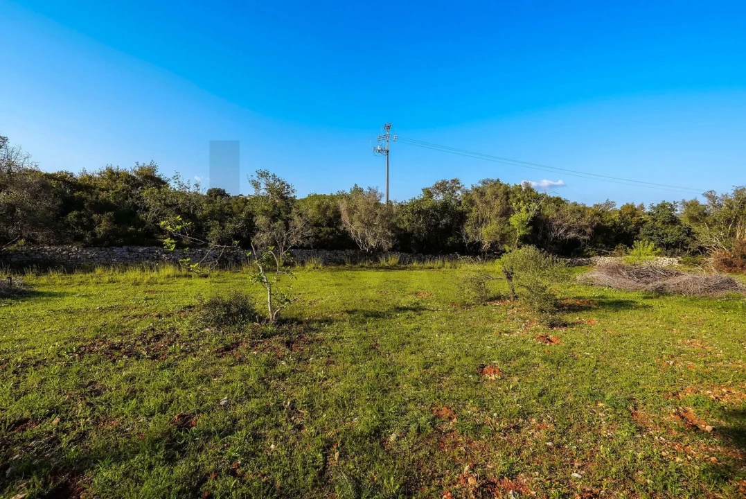 Terreno para Venda em Santa Barbara de Nexe Foto 8