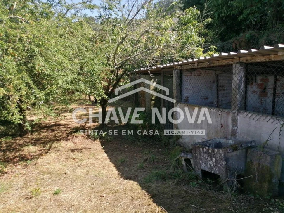 Quinta T5 para Venda em Roriz Foto 4