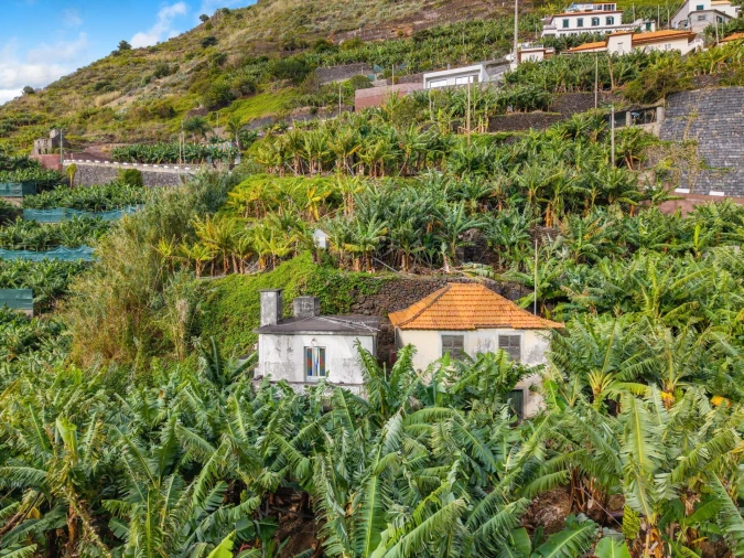 Terreno para Venda em Madalena do Mar Foto 11