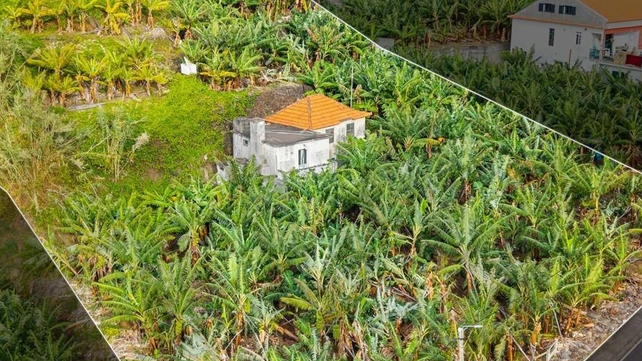 Terreno para Venda em Madalena do Mar