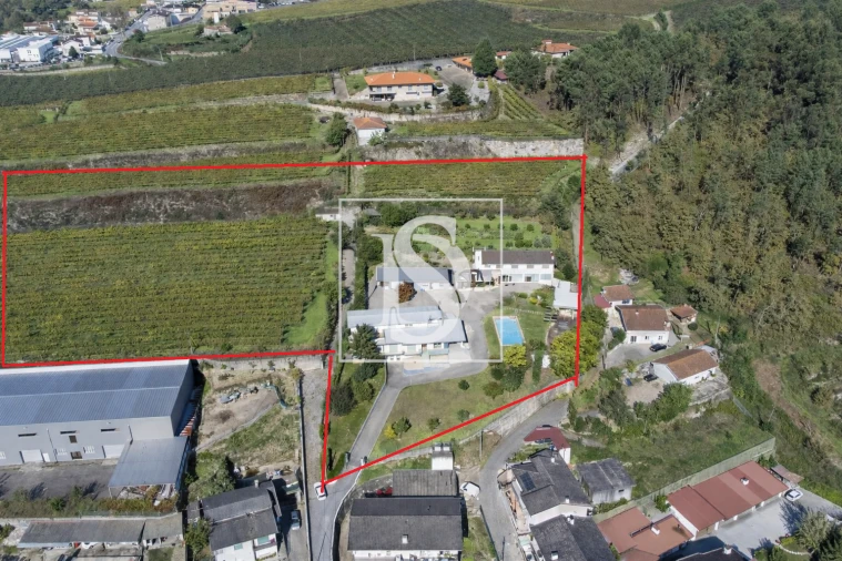 Quinta T7 para Venda em Constance Foto 2