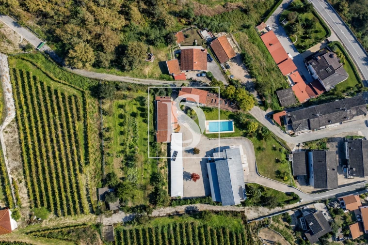 Quinta T7 para Venda em Constance Foto 11