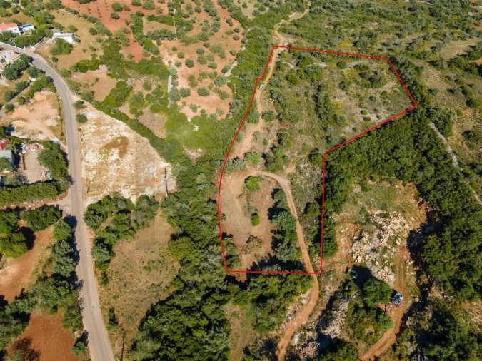 Terreno para Venda em Santa Barbara de Nexe Foto 16