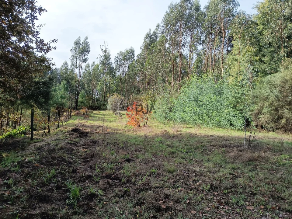 Terreno para Venda em Treixedo e Nagozela Foto 2