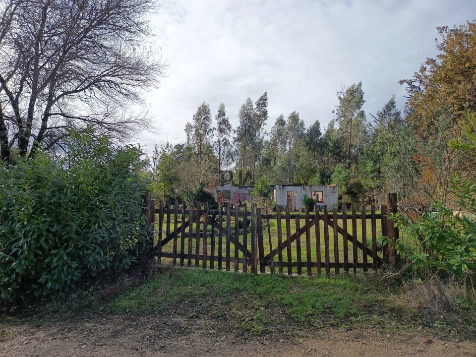 Terreno para Venda em Treixedo e Nagozela Foto 4