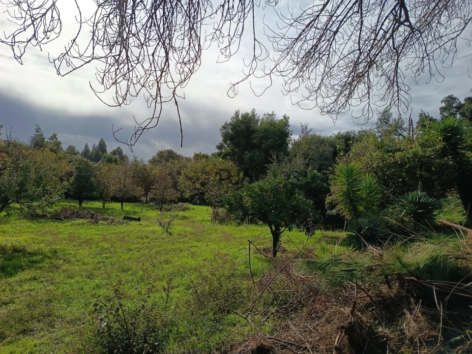 Terreno para Venda em Treixedo e Nagozela Foto 6