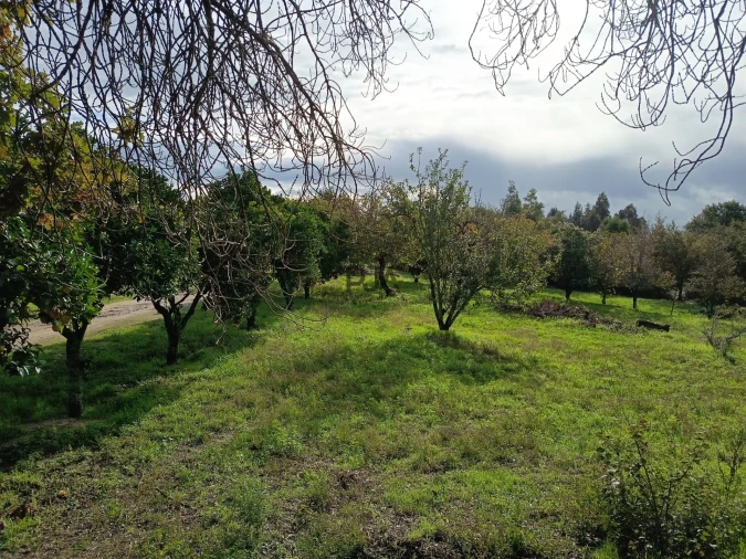 Terreno para Venda em Treixedo e Nagozela Foto 5